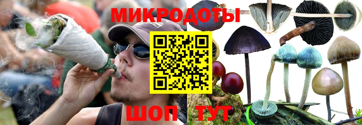 Галлюциногенные грибы мицелий  магазин  наркотиков  Луга  Вход с VPN 
